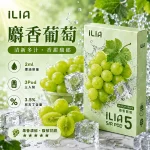 哩亞ILIA ULTRA 5代煙彈 麝香葡萄 口味